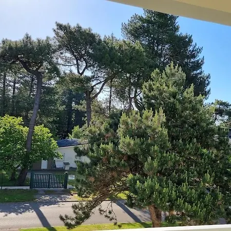 Un Nid Pour Deux A Apartamento